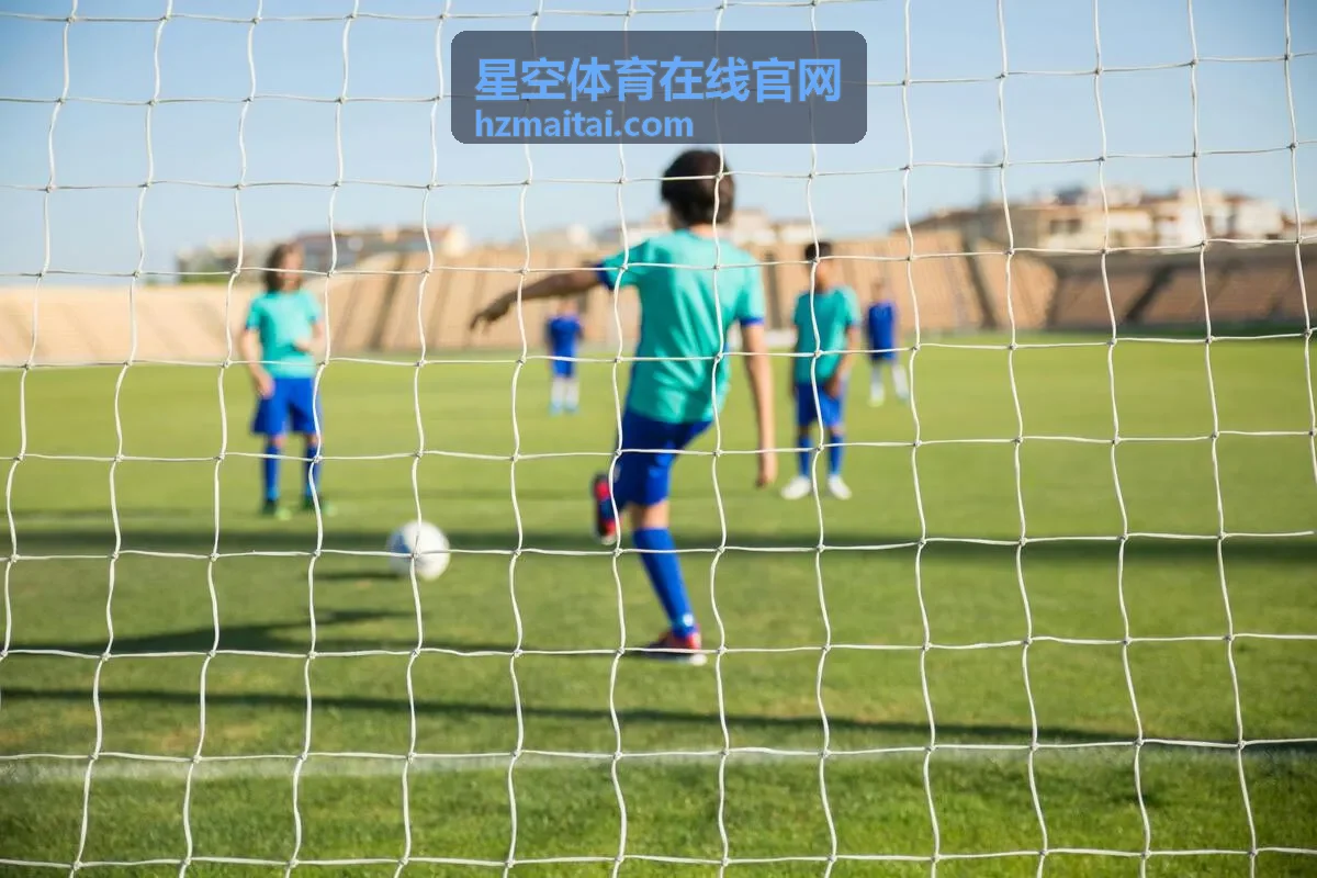 星空体育在线官网赛事直播入口页面示意