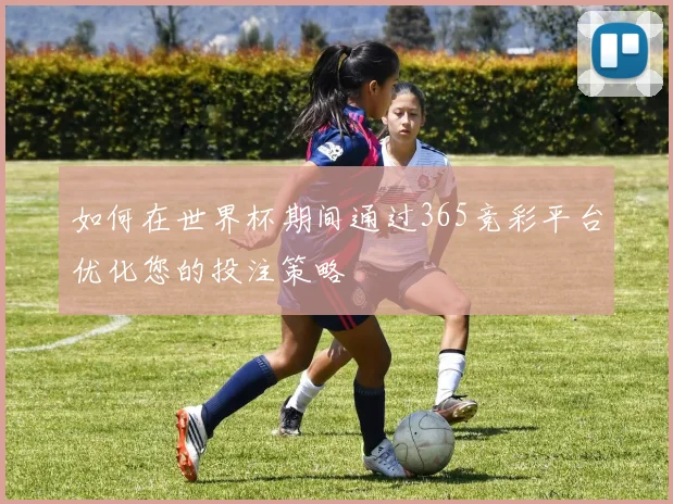 如何在世界杯期间通过365竞彩平台优化您的投注策略