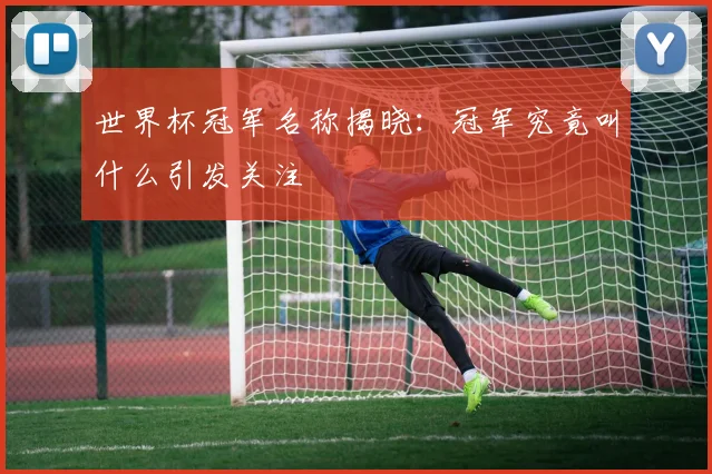 世界杯冠军名称揭晓：冠军究竟叫什么引发关注