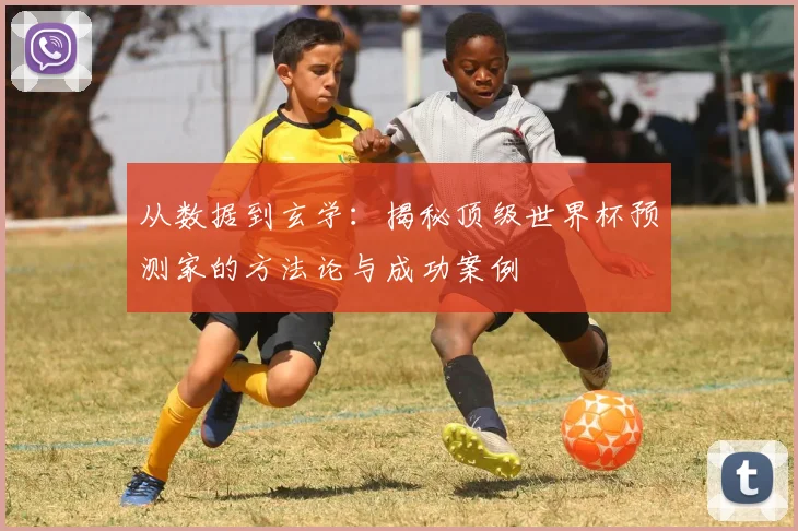 从数据到玄学：揭秘顶级世界杯预测家的方法论与成功案例
