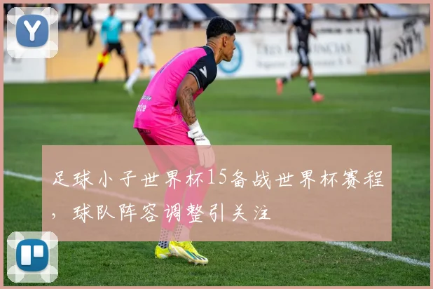 足球小子世界杯15备战世界杯赛程，球队阵容调整引关注