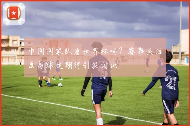 中国国家队看世界杯吗?赛事关注度与球迷期待引发讨论