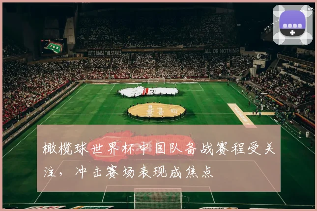 橄榄球世界杯中国队备战赛程受关注,冲击赛场表现成焦点