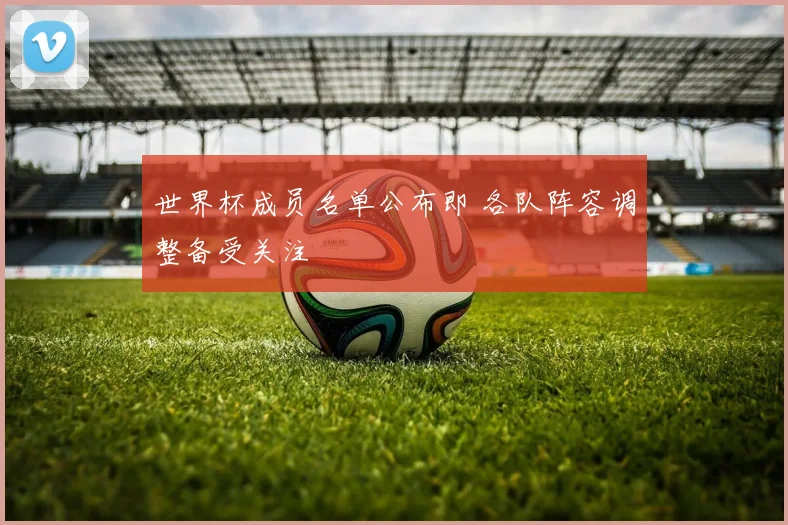 世界杯成员名单公布即 各队阵容调整备受关注