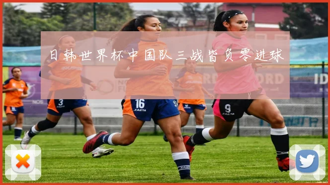 日韩世界杯中国队三战皆负零进球